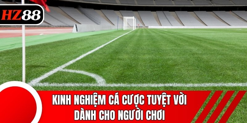 Kinh nghiệm cá cược tuyệt vời dành cho người chơi